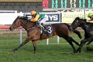 New York Minute (NZ) taking out the Listed Woburn Farm Tauranga Classic. Photo: Trish Dunnel